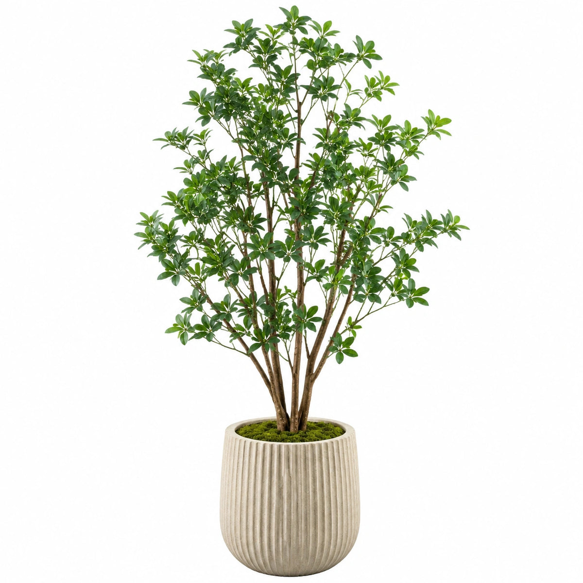 Arbre artificiel Schefflera 180 cm vert en plastique avec pot décoratif pour intérieur