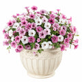 Plante artificielle en pot 50 cm pétunias roses et blancs avec pot en céramique décoratif