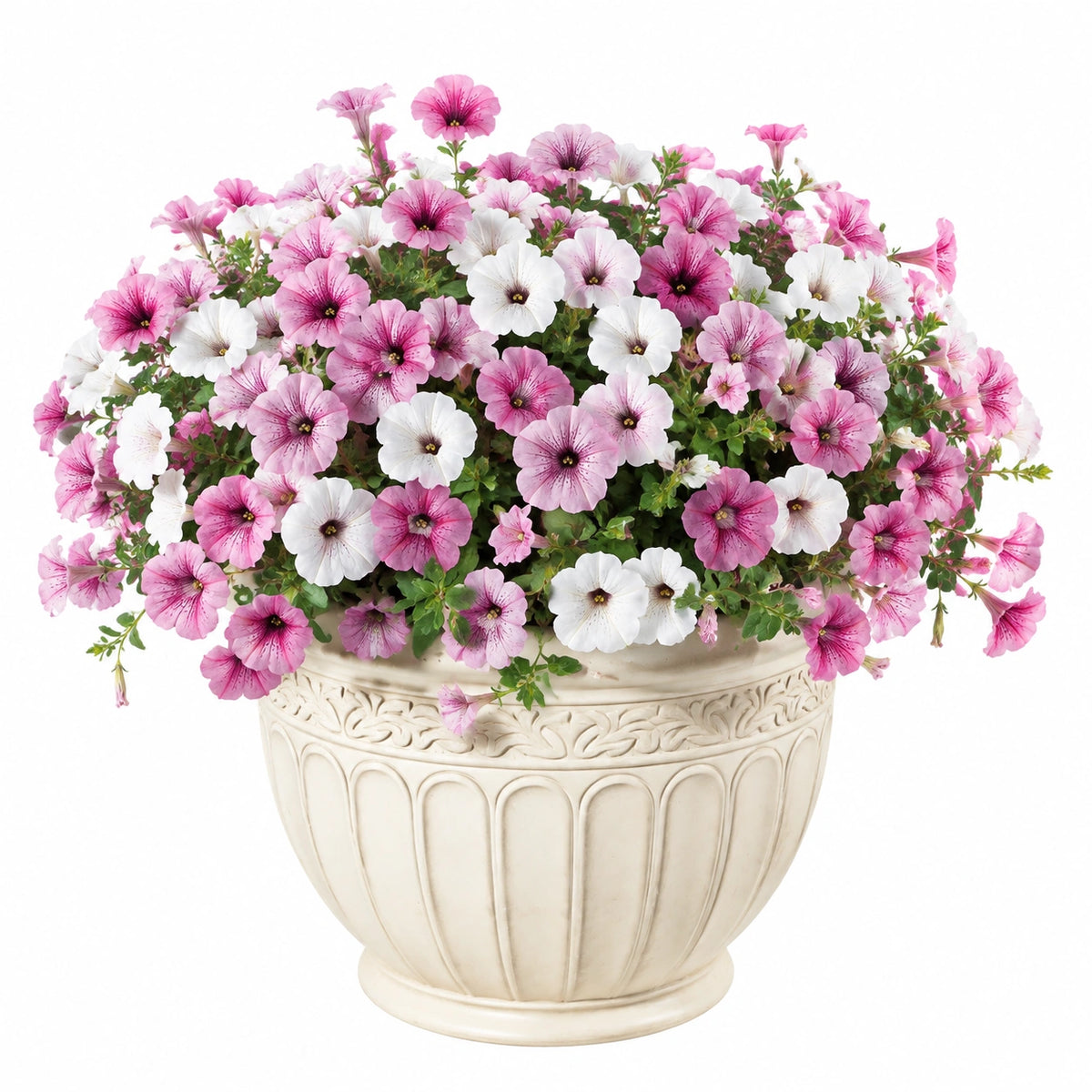 Plante artificielle en pot 50 cm pétunias roses et blancs avec pot en céramique décoratif