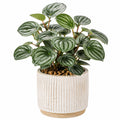 Plante artificielle en pot 45 cm feuillage synthétique vert et argenté décoration intérieure style naturel