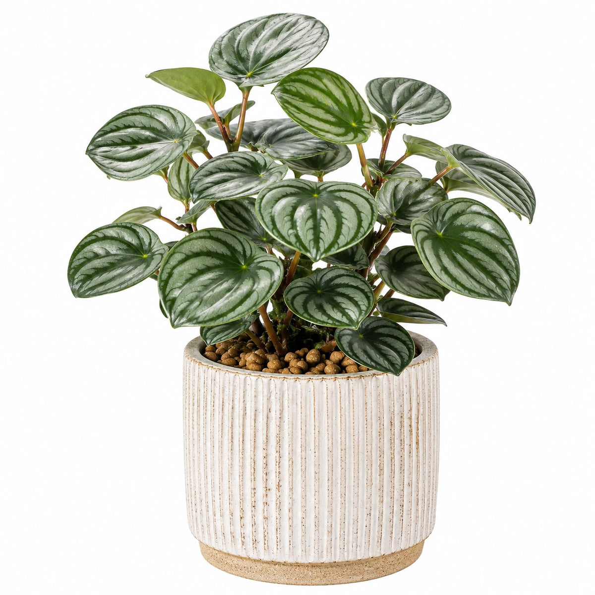 Plante artificielle en pot 45 cm feuillage synthétique vert et argenté décoration intérieure style naturel