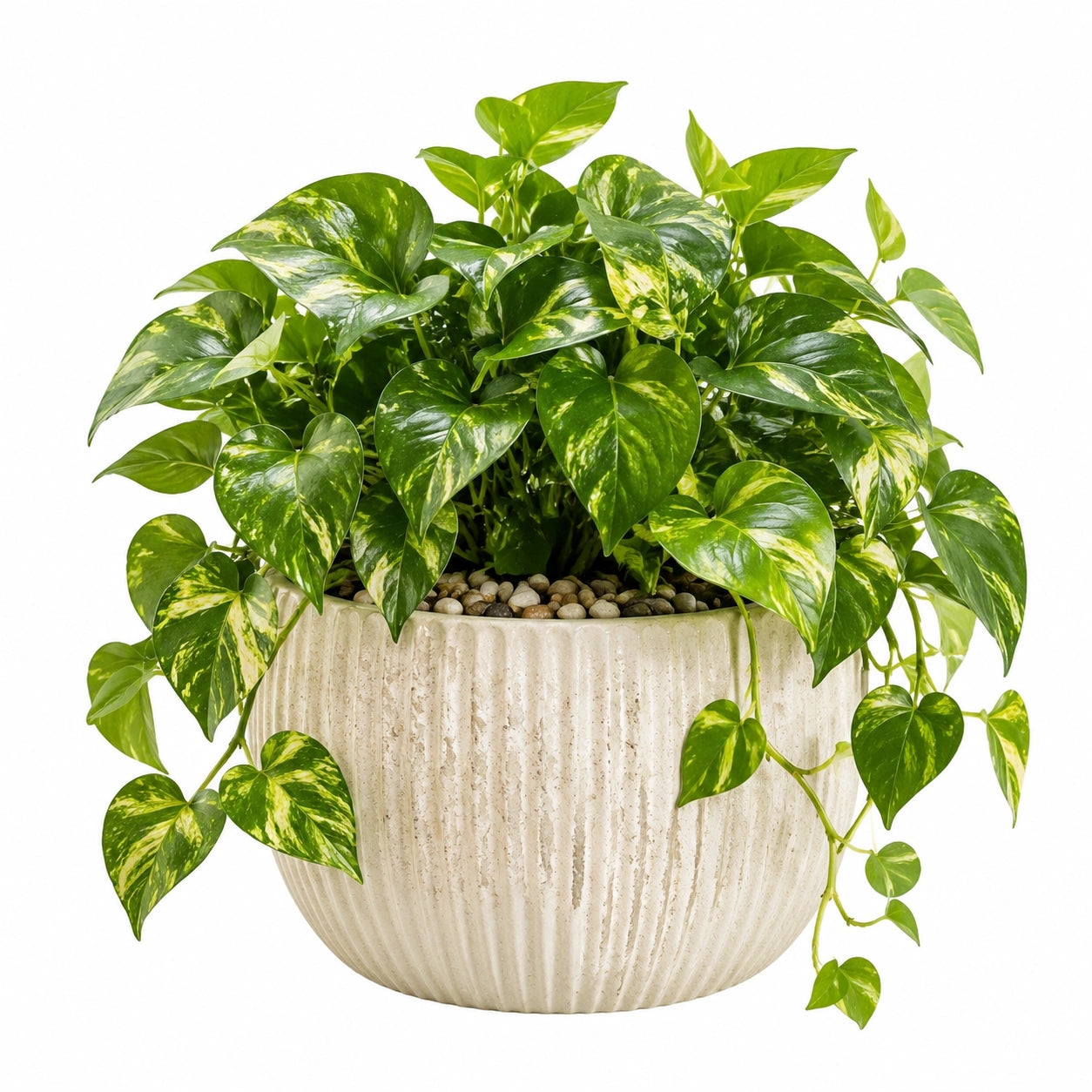 Plante artificielle pothos 45 cm feuillage vert panaché en plastique pour intérieur